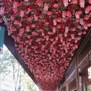 Meet your Posher, Ghazal